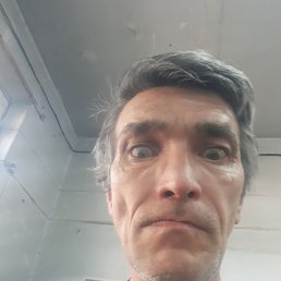 , 56, 