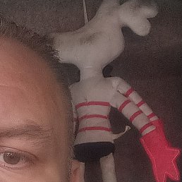 ������, �����-���������, 48 ���