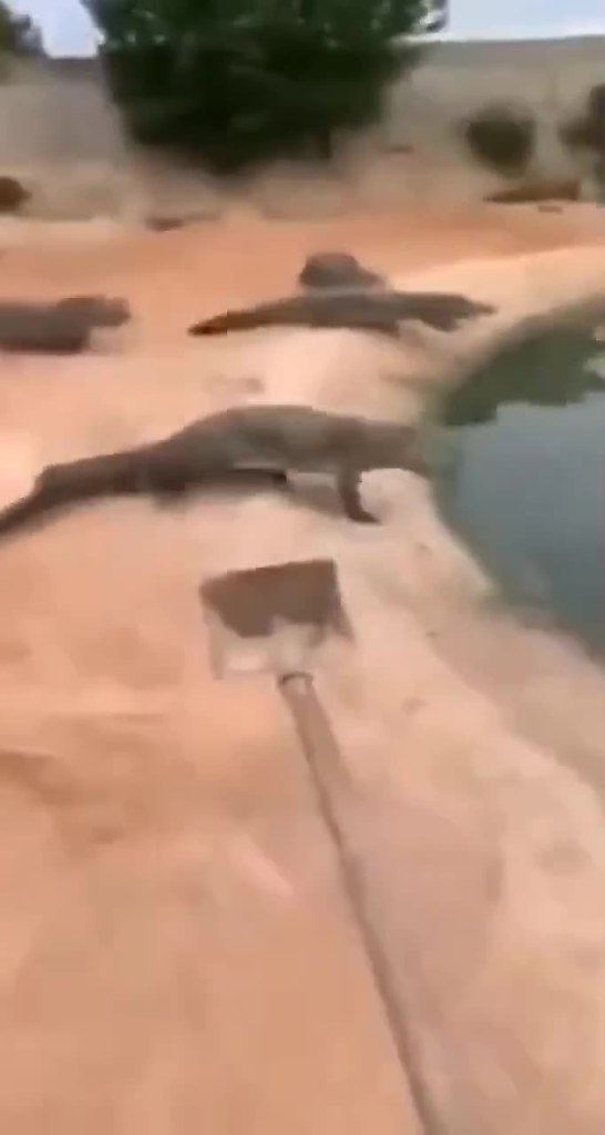 ,    ..