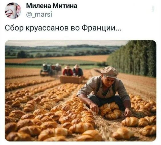   - 4  2024  19:40