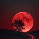���� Vahid, �������, 45 ��� - ��������� 2 ��� 2026