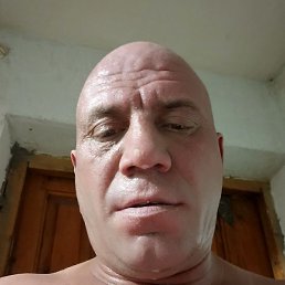 ����� �������, �����������, 40 ���