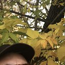 ���� ����, ������ ��������, 57 ��� - ��������� 4 ������� 2025 � ������ ���� ����������