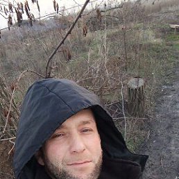 , 37 , 