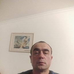 , 40, 