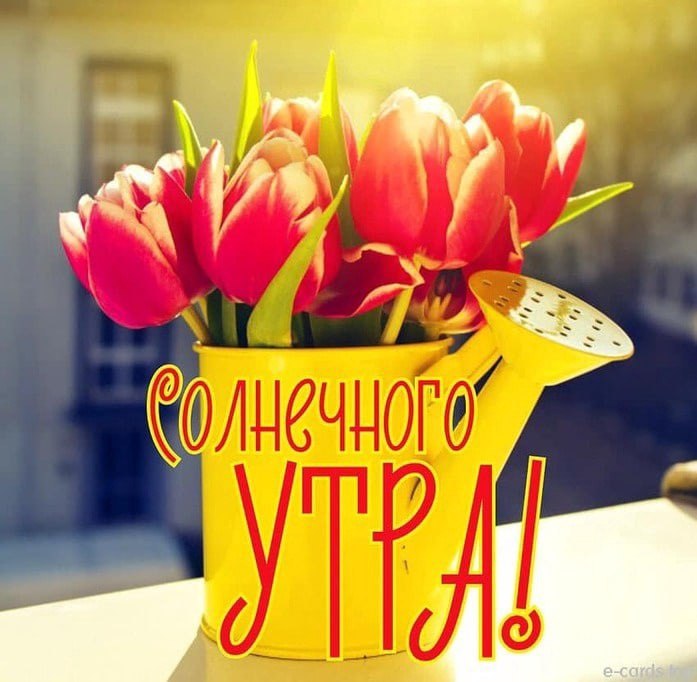   - 17  2025  10:04