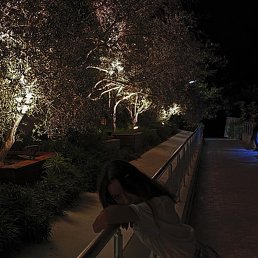 �������, ���������, 21 ���