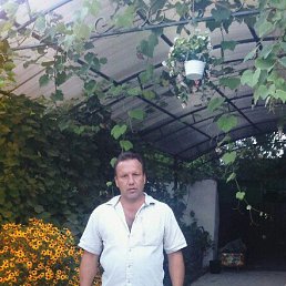, 50, 