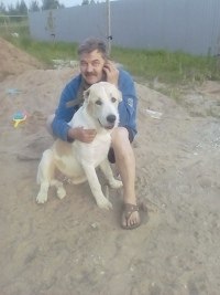 ���� ��������, ������� ��������, 52 ���� - ��������� 26 ������ 2024