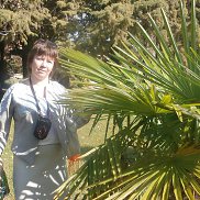 ��������, 26 ���, ������