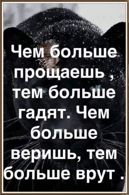  - 6  2025  19:55