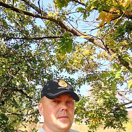 �������, 38 ���, ��������