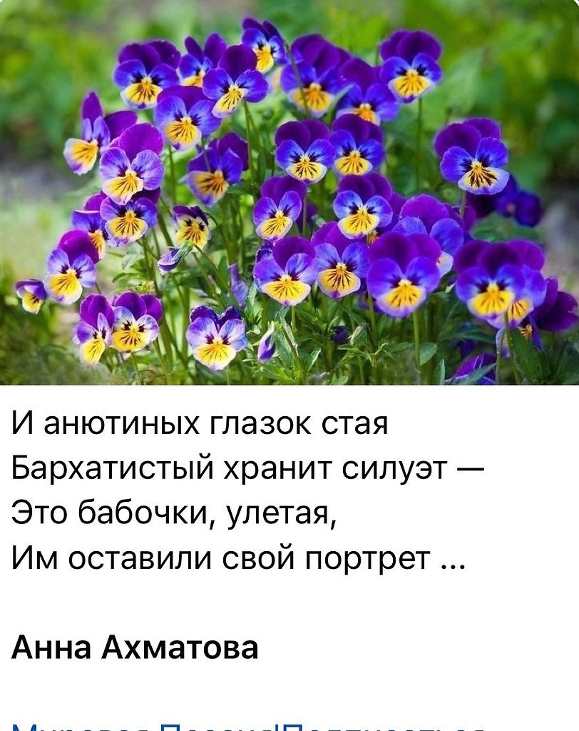   - 29  2025  08:25