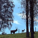 ���� ���, �����, 60 ��� - ��������� 8 ������ 2025 � ������ ������-������� �������� 2025. ��� 60 ���.�