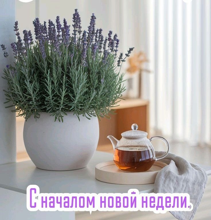 ����������� � ���������, �������� �� ������ ����. - 3 ��� 2026 � 23:55