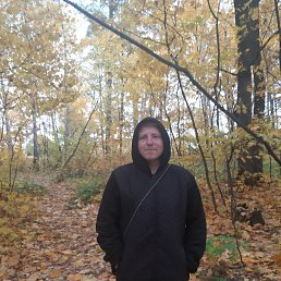 �����, 28 ���, ���������