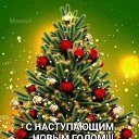 ���� �����, ������, 48 ��� - ��������� 1 ������ 2024 � ������ ���� ����������
