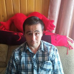 �����, ������, 36 ���