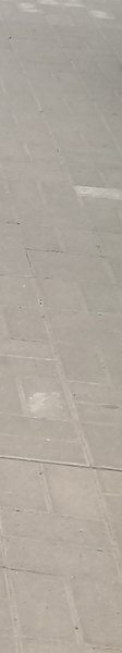, 67 , 