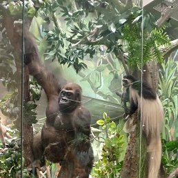 ���� �����, ������, 49 ��� - ��������� 12 ������� 2026