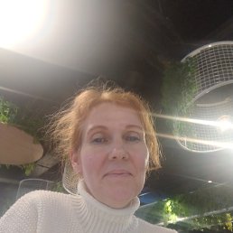 ���� ���, �����-���������, 50 ��� - ��������� 4 ������� 2026