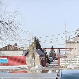 �����, ��������, 65 ���