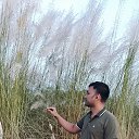  Raisul, , 31  -  4  2025    