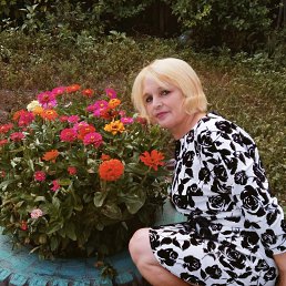 ���� ������, �������, 52 ���� - ��������� 25 ������� 2023