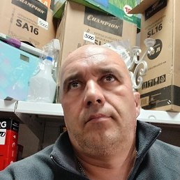 , 49 , 
