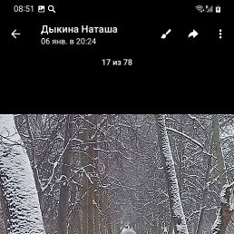 , 59, 
