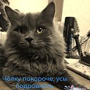 ���� ��������, ������, 51 ��� - ��������� 22 ��� 2024 � ������ ���� ����������