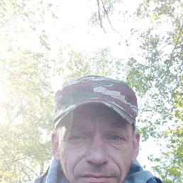 , 44, 