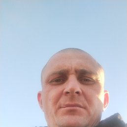 , 33, 