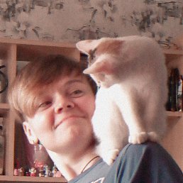 , 22, 