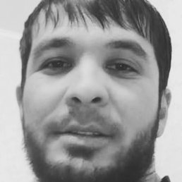 , 29, 
