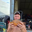 ���� ������, ������, 55 ��� - ��������� 21 ������� 2025 � ������ ���� ����������