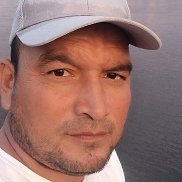 , 43 , 