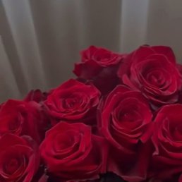 �����, ����������, 43 ����