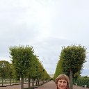 ���� ��������, ������, 63 ���� - ��������� 12 ������ 2026 � ������ ���� ����������