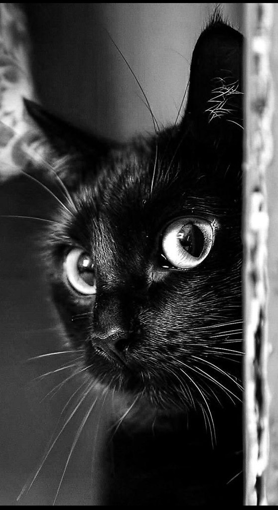 - � �� ��� ���� �������!.. ��, ��� ������ � ����... ��� �����? �����, ����� � ����� (������ ������). ...