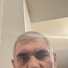 , 51, 