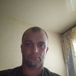 , 41, 