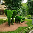 ���� �����, �������, 50 ��� - ��������� 16 ������ 2023 � ������ ���� ����������