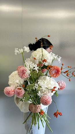 �����������