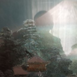 �����, ���������, 45 ���