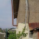 ���� �����, �����-���������, 61 ��� - ��������� 2 ������ 2023