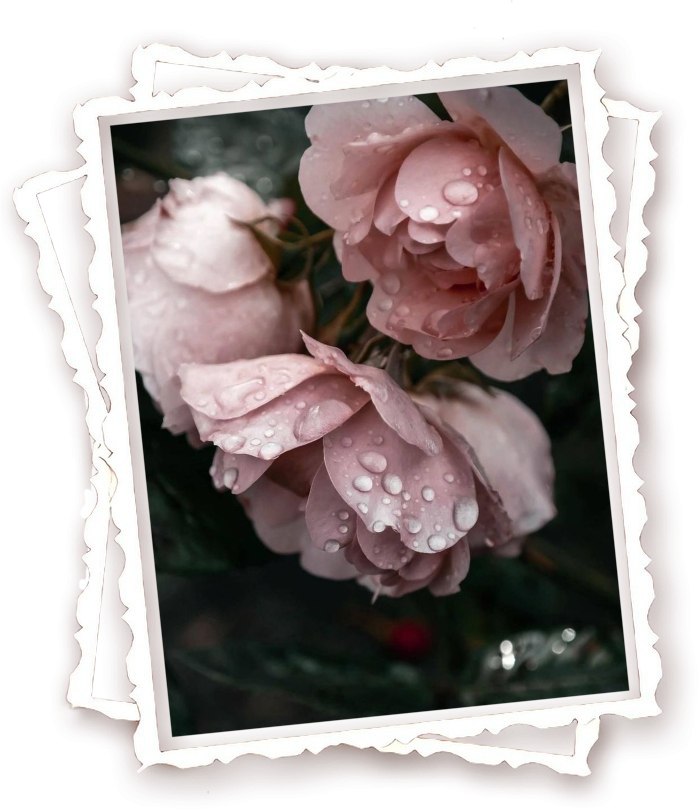 Zdena - 12 ������ 2025 � 14:10 - 2