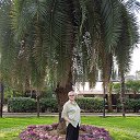 ���� ������ ��������, ������, 50 ��� - ��������� 14 ��� 2024 � ������ ���� ����������