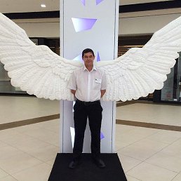 ������, ������, 50 ���