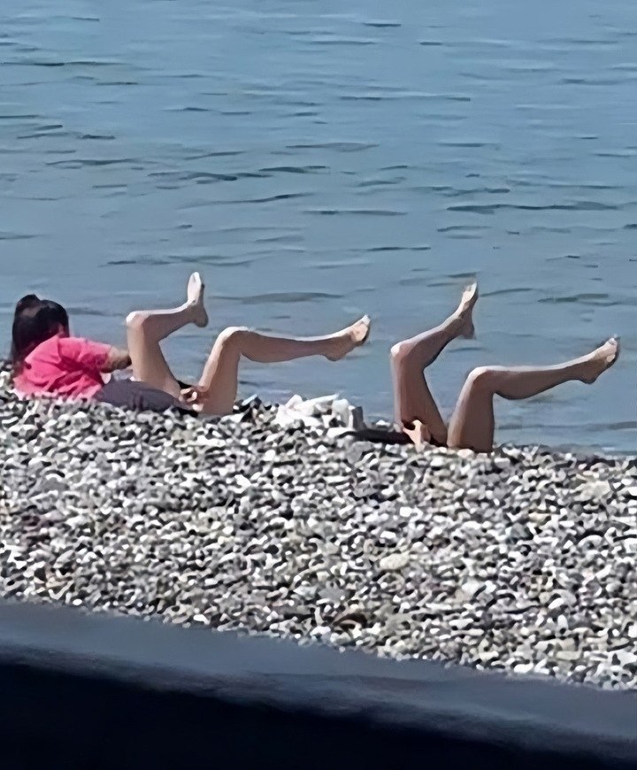         .     ... - 2